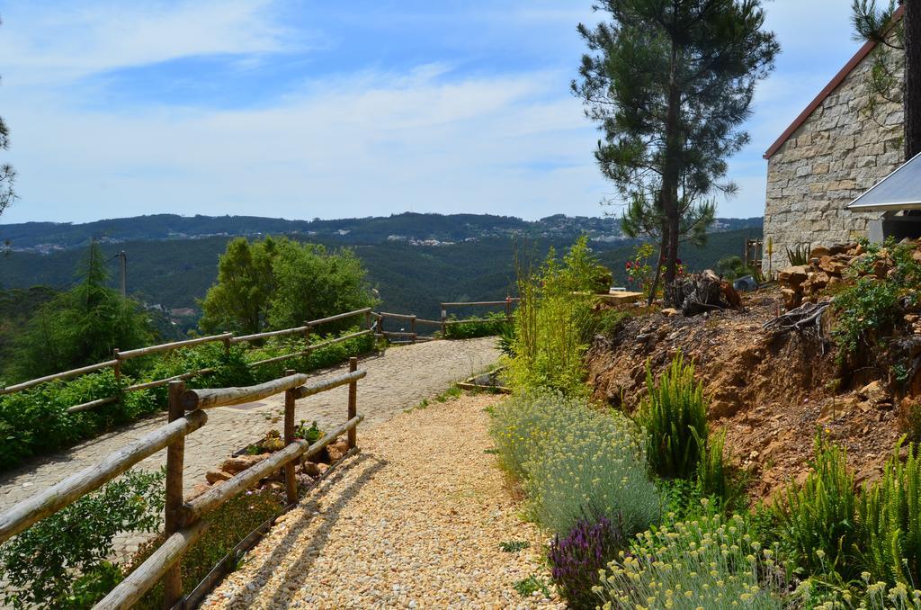 Villa De Paco Sever do Vouga Esterno foto