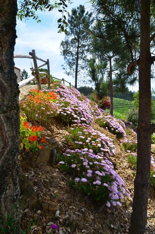 Villa De Paco Sever do Vouga Esterno foto